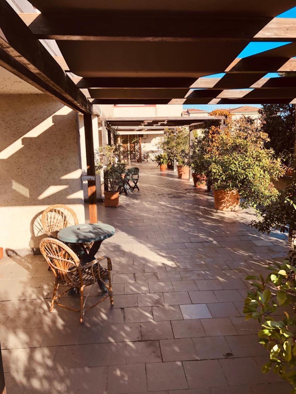 Hotel Delfina Сінья Екстер'єр фото